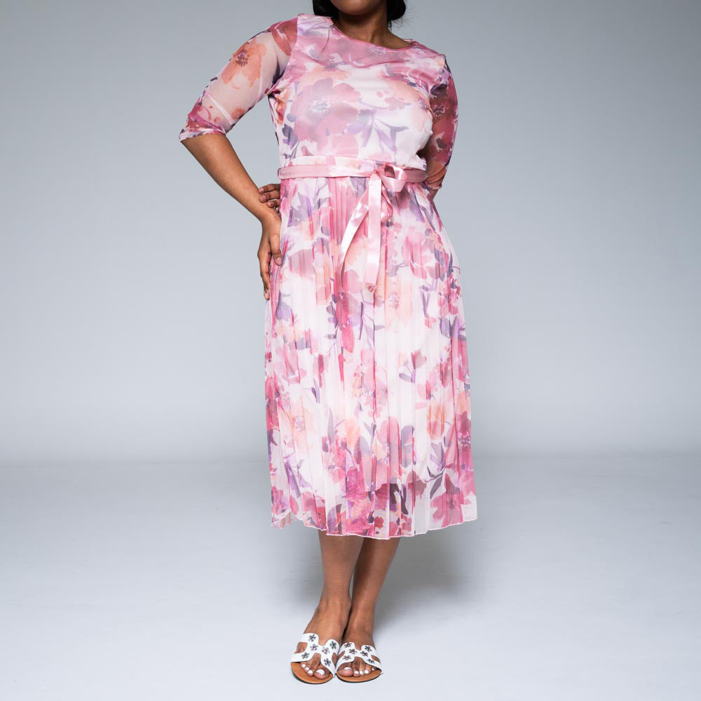 Plus Size Printed Mesh Pleated Dress